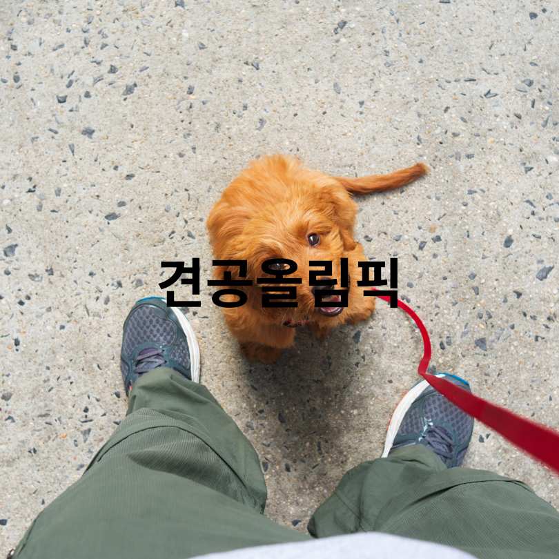 2025 서울 반려견 올림픽 신청 방법