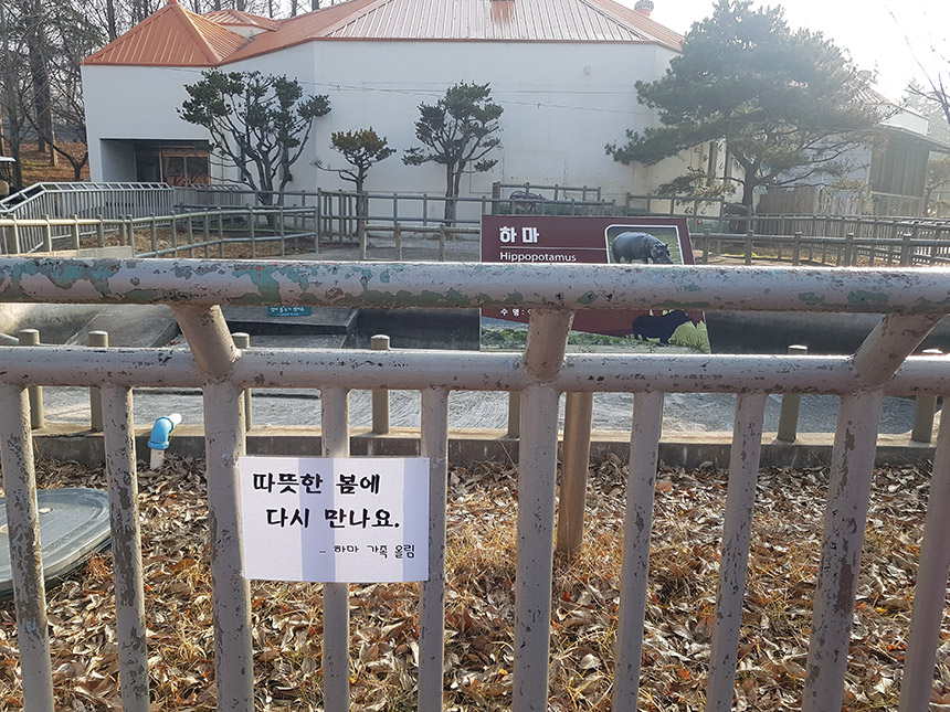 전주 동물원 하마