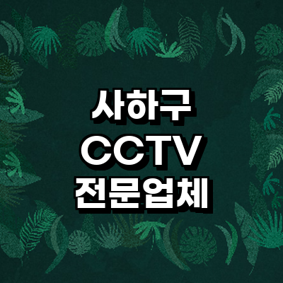 부산 사하구 cctv