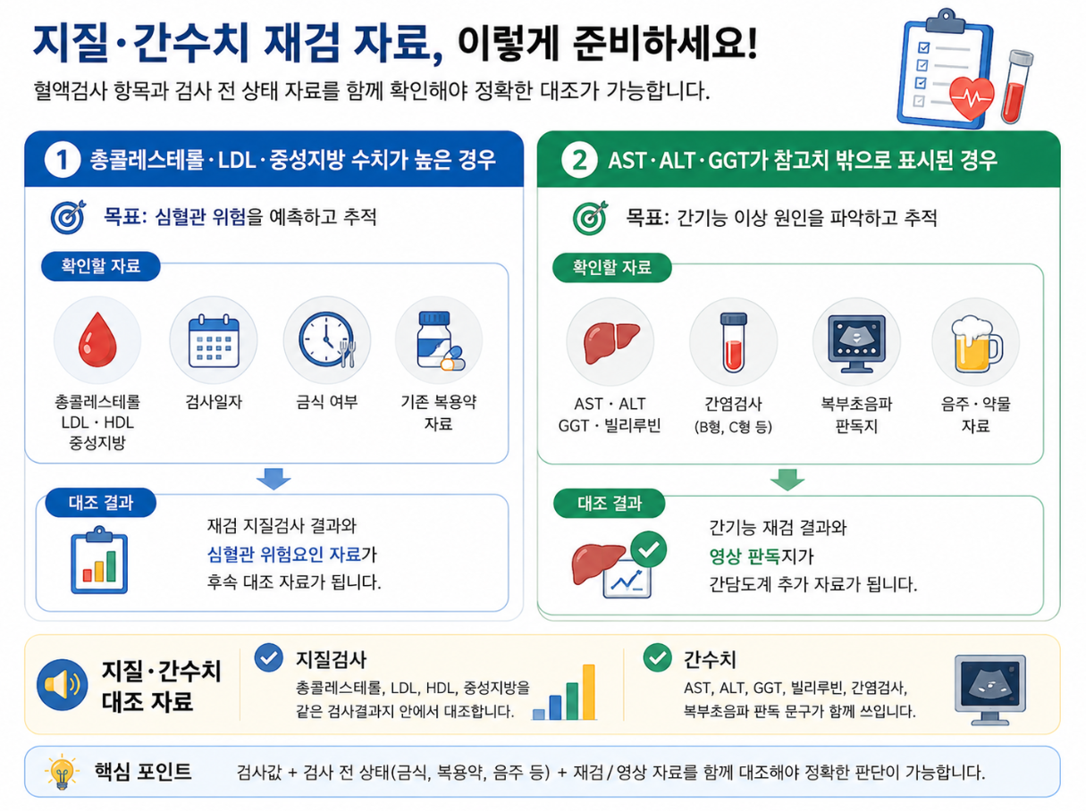 지질검사와 간수치 재검에서 콜레스테롤, LDL, AST, ALT, GGT, 복부초음파 판독지를 대조하는 인포그래픽