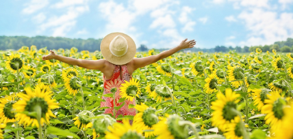 공공 텃밭 신청 확인사항 관련 사진