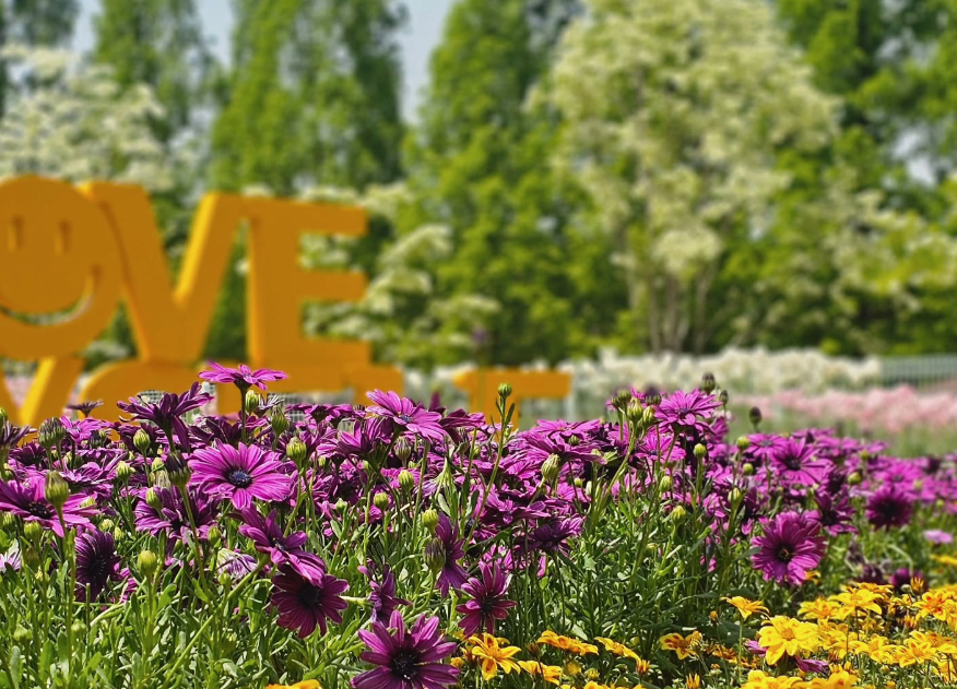 사진출처=고양국제꽃박람회 인스타그램