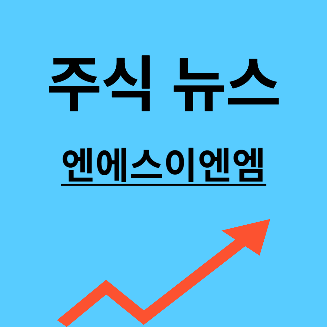 엔에스이엔엠