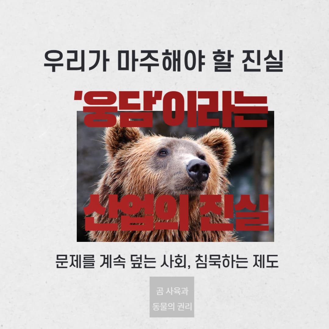 곰은 왜 우리나라에서 사육되고 있을까?