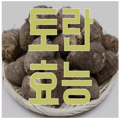 토란의 효능과 장점
