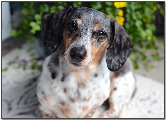 ์ผ๋ฃฉ๋ฌด๋ฌ ๋ฅ์คํํธ