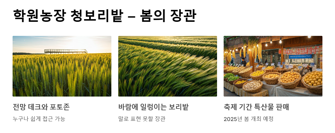 고창 여행, 꼭 가봐야 할 명소 BEST 13