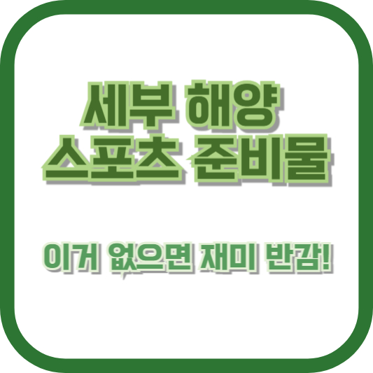 세부 해양 스포츠 준비물: 이거 없으면 재미 반감!