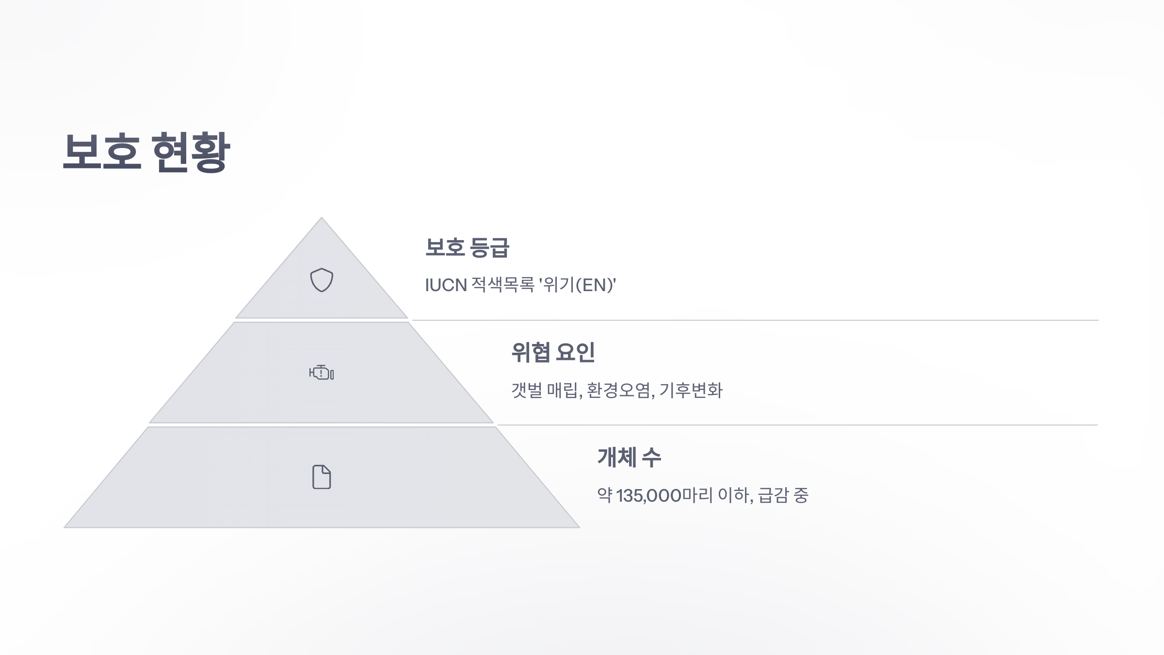 참조-붉은어깨도요-5