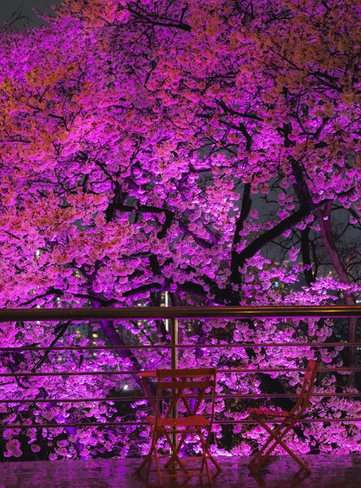 대구 이월드 자유이용권 할인