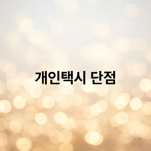 개인택시 단점