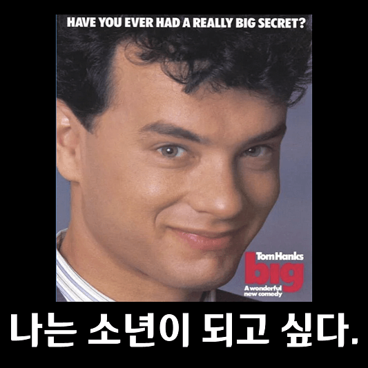 영화 빅 포스터 사진