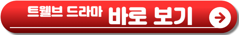 트웰브 드라마