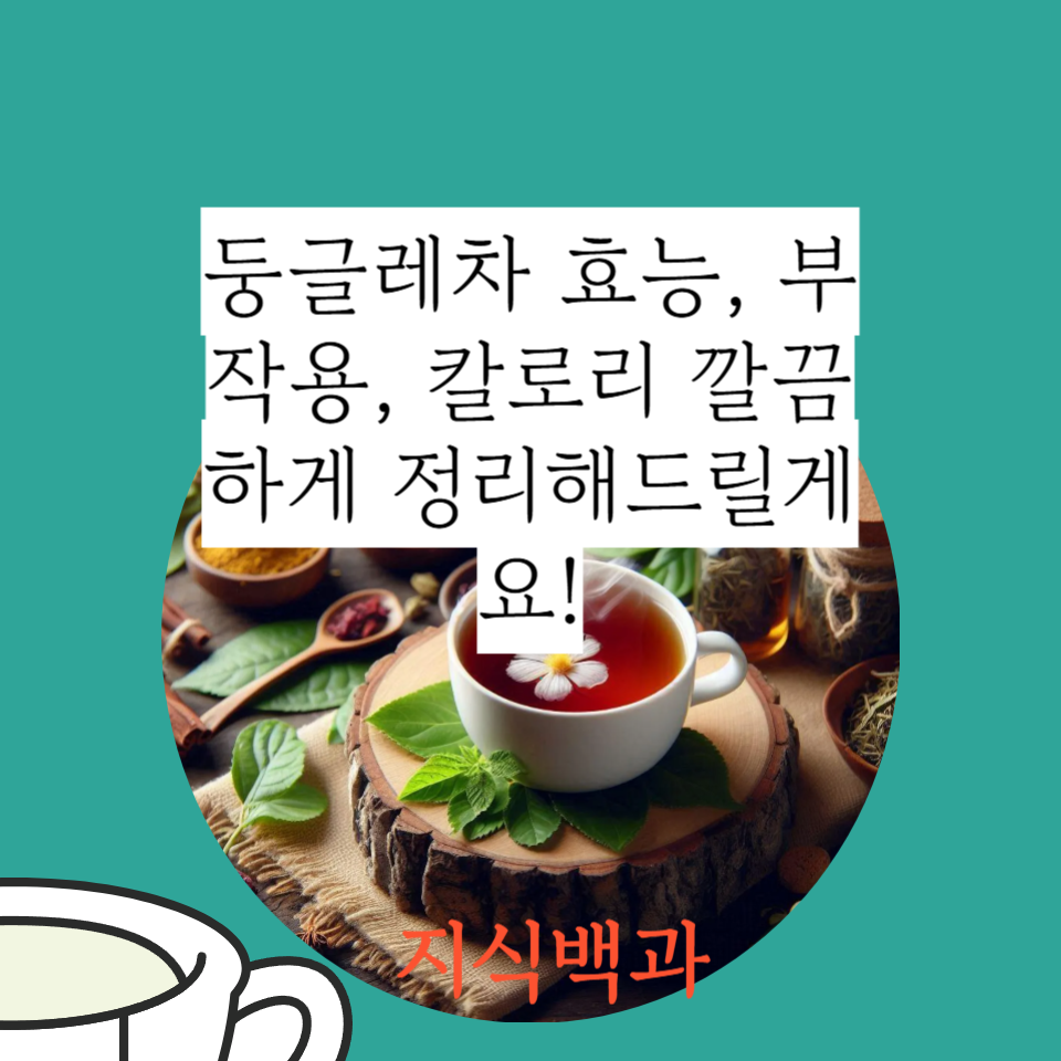 둥글레차 효능, 부작용, 칼로리 깔끔하게 정리해드릴게요!
