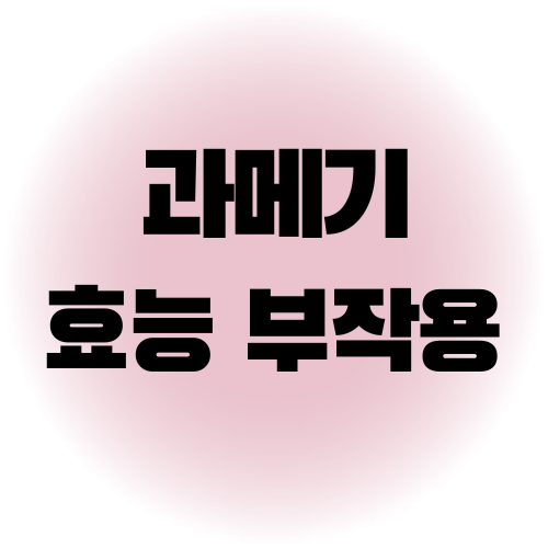 과메기 효능 부작용