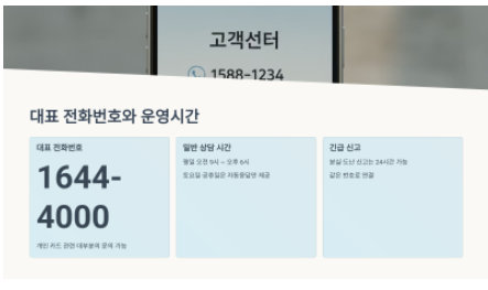 농협카드 분실신고