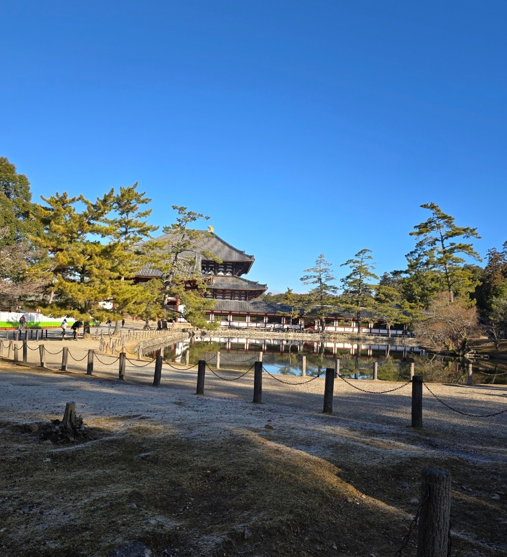 동대사와 동대사 내 불상 모습 이미지