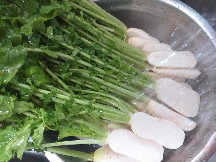 여름알타리김치