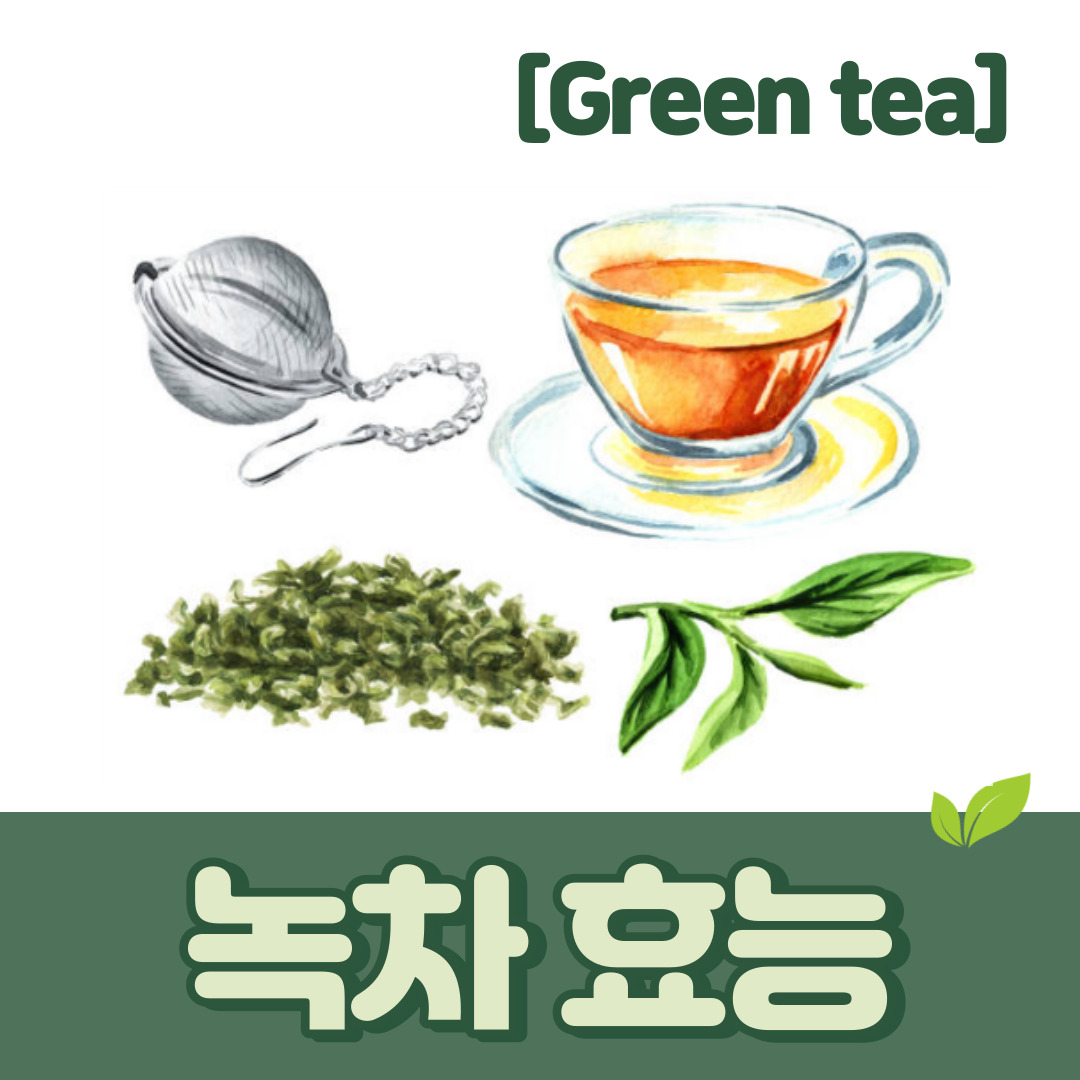 녹차
