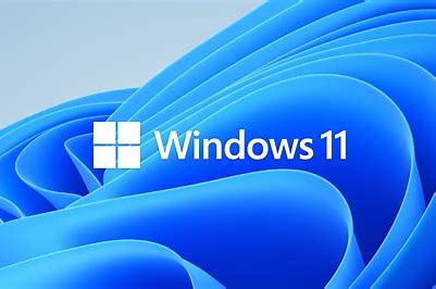 Windows 11 로고
