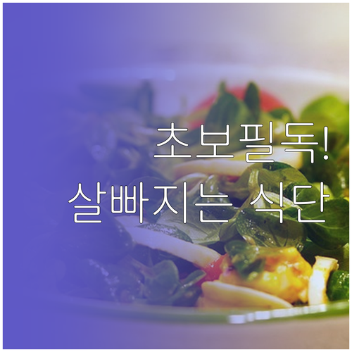 요리 초보자를 위한 건강한 다이어트 ..