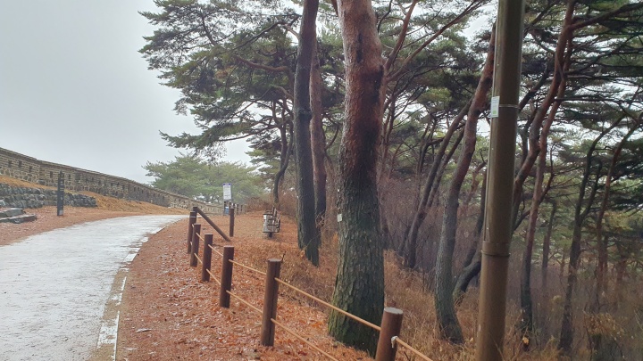 청량산 등산로