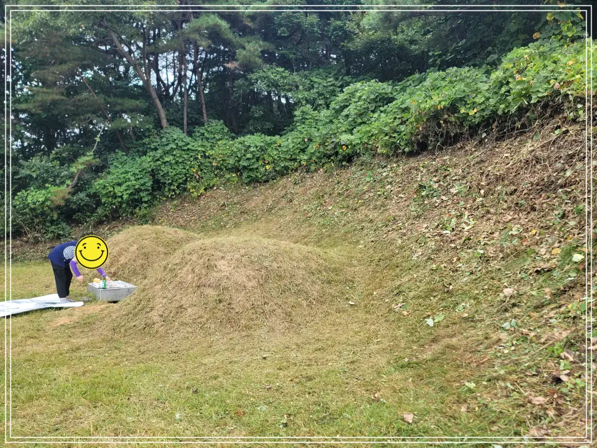 벌초-후-조부모-성묘-준비