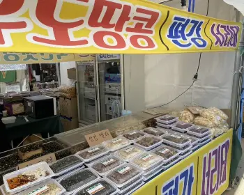 하동 북천 코스모스 메밀꽃 축제_19