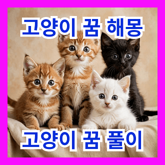 고양이 꿈 해몽 고양이 꿈 풀이