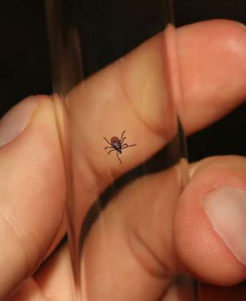 치약의 남다른 활용법