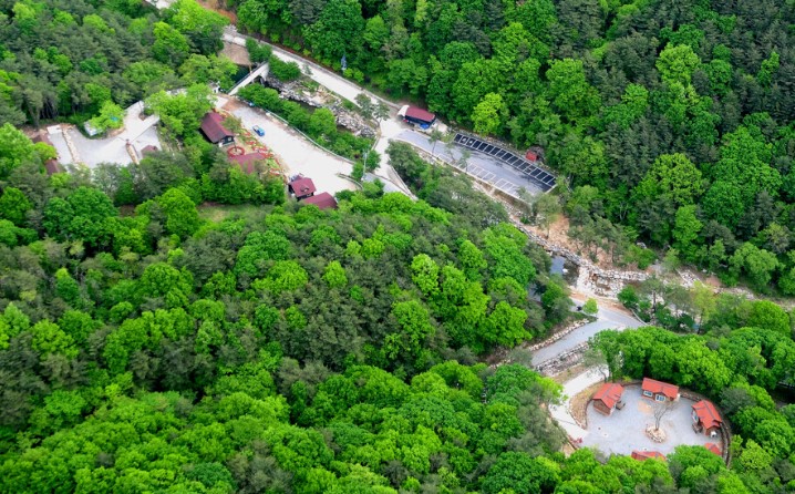 오도산 자연휴양림(1)