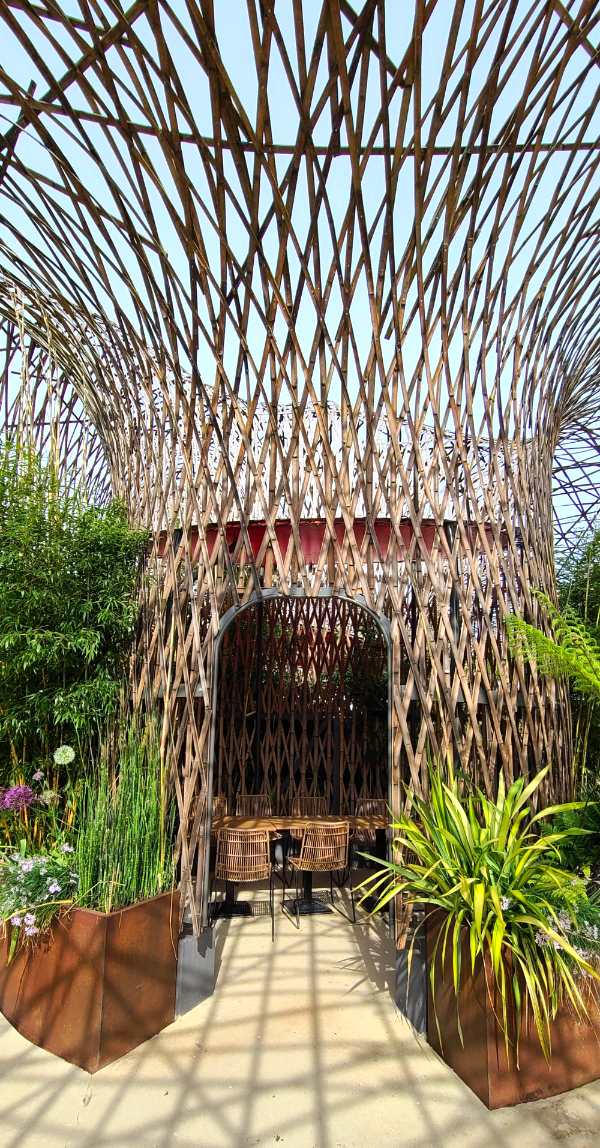 테라 보타니카 나무줄기