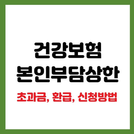건강보험 본인부담상한
