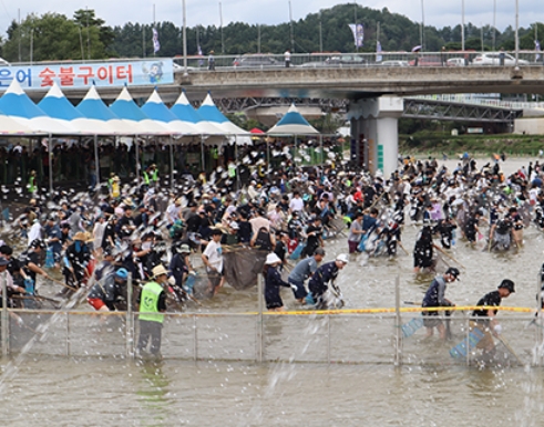 봉화은어축제 2025 총정리
