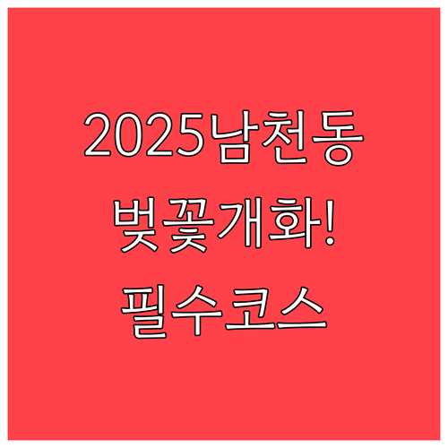 2025년 부산 남천동 벚꽃 개화 시..