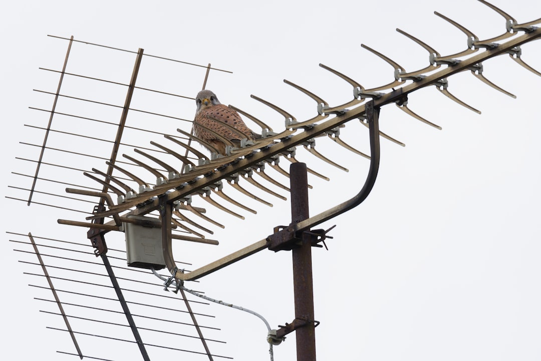 Antenna