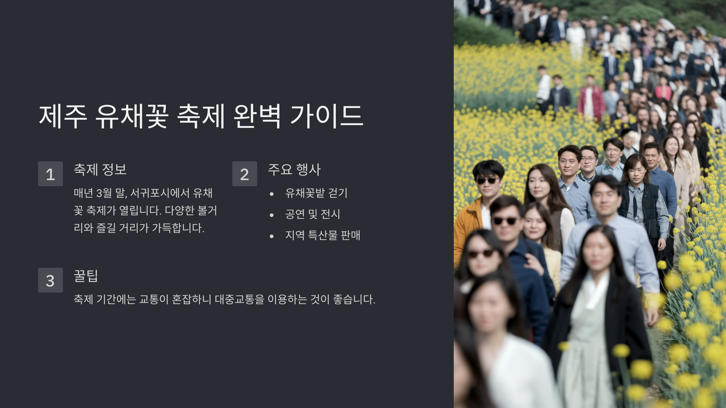 제주 유채꽃 피는 시기와 명소