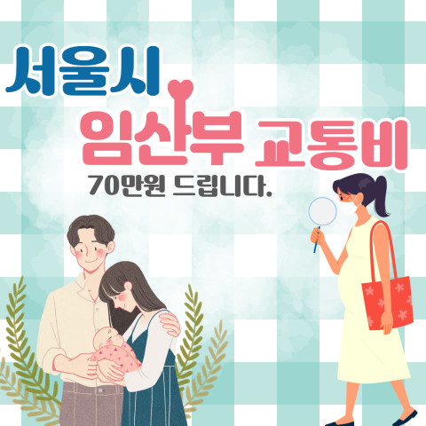 서울시-임산부-교통비