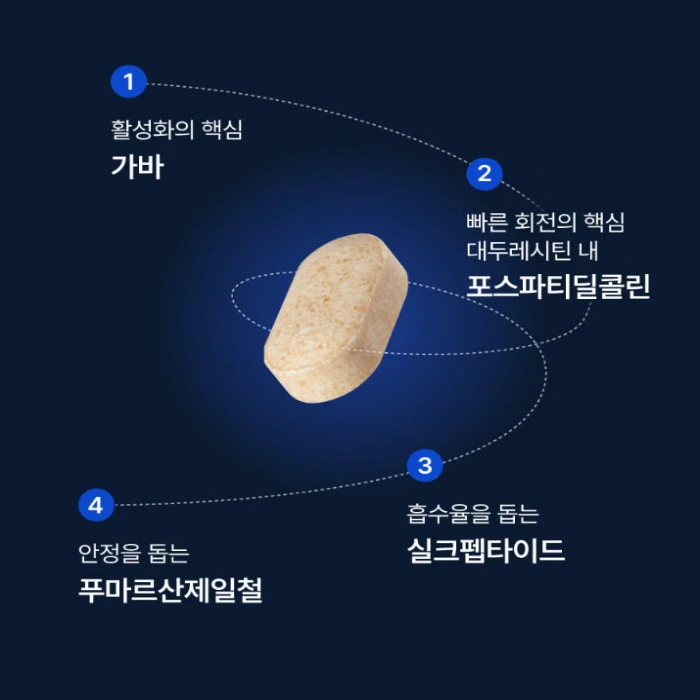 뉴티365 뉴티캄 내돈내산 후기 효과 성분 부작용 복용법 가격