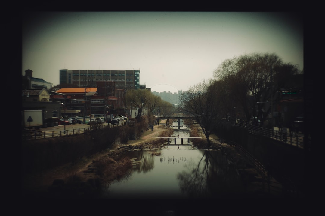 Suwon
