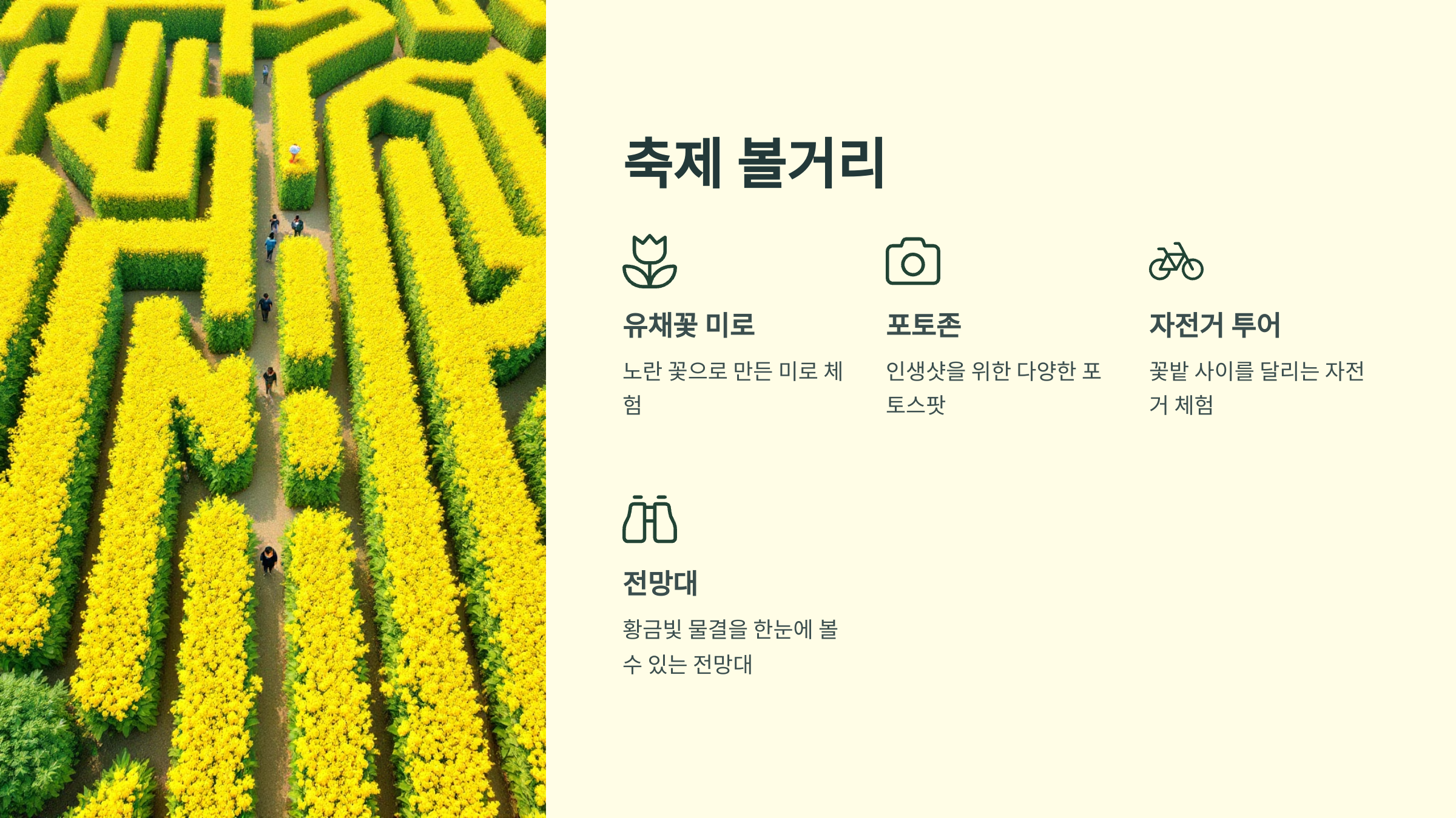 창녕에서 즐기는 2025 낙동강유채축제, 봄을 걷다