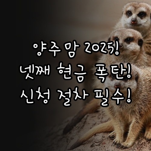 양주시 다자녀 가구 넷째 출산축하금 ..