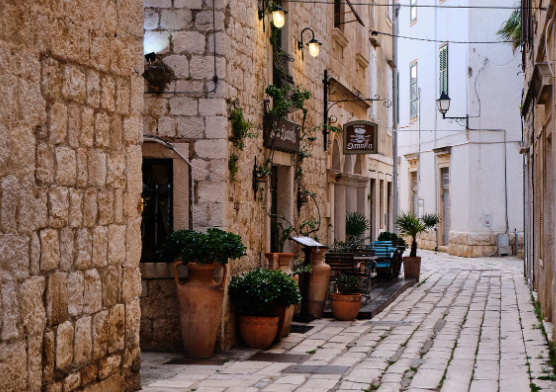 크로아티아 캐리어