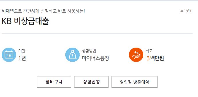 KB국민은행 비상금대출 요약