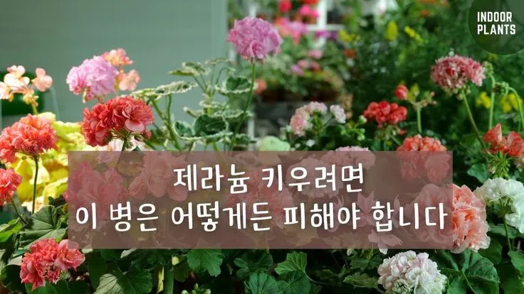 "장마철