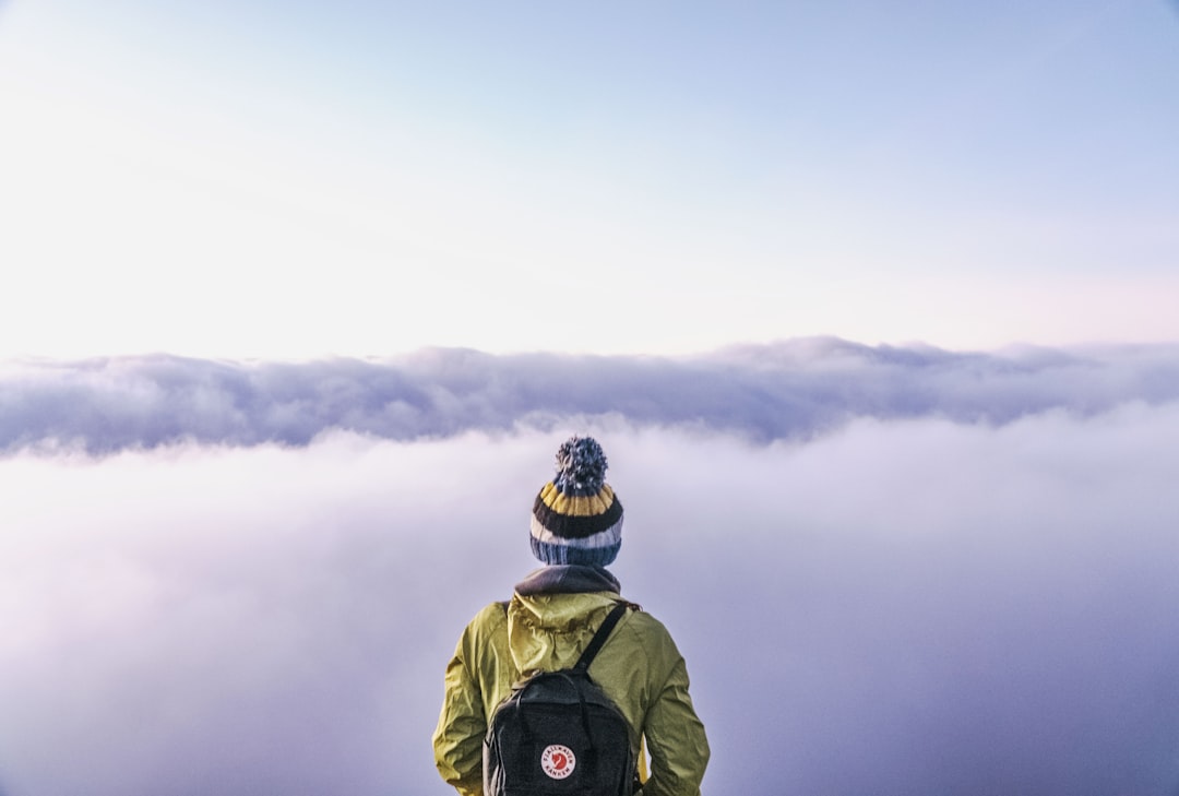 Traveler