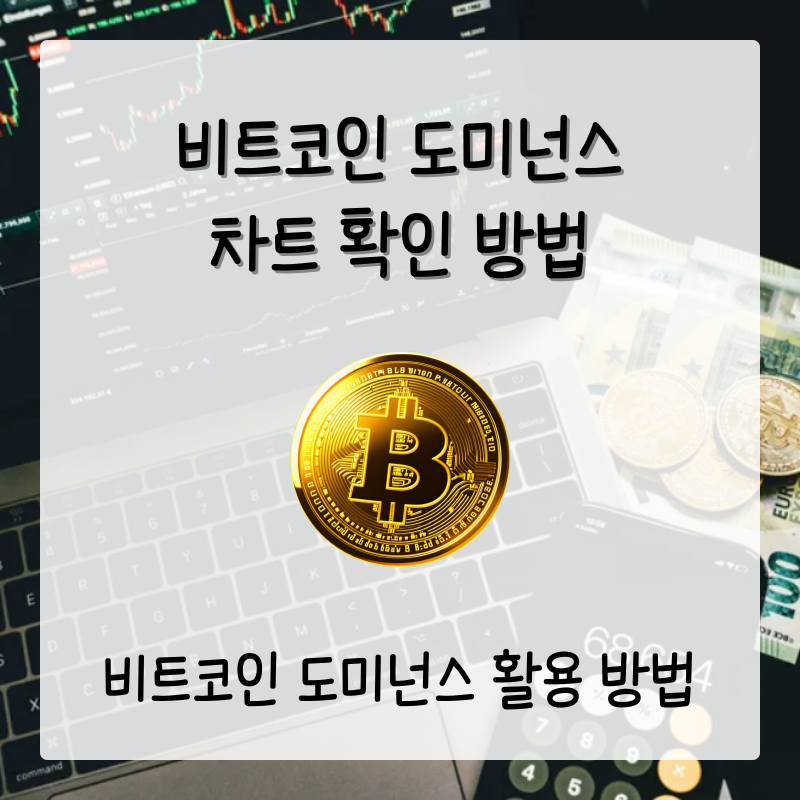 비트코인 도미넌스 차트
