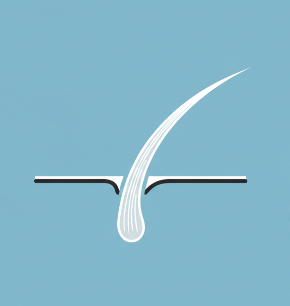 흰머리 흰머리 나는 이유 흰머리 관리 흰머리 예방 흰머리 검은 머리로 되돌리는 법 흰머리 원인 흰머리 안나게 하는 법 흰머리 뽑으면 안 되는 이유 흰머리 해결 방법 흰머리 자연 치료 흰머리 염색 없이 관리 아mla 오일 효능 (인디언 구스베리) 흰머리 두피 마사지 스트레스와 흰머리 관계 멜라닌 색소 생성 방법