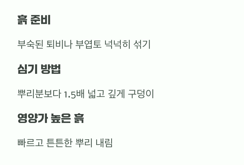 비결 2. 튼튼한 집 지어주기 (흙과 심기)