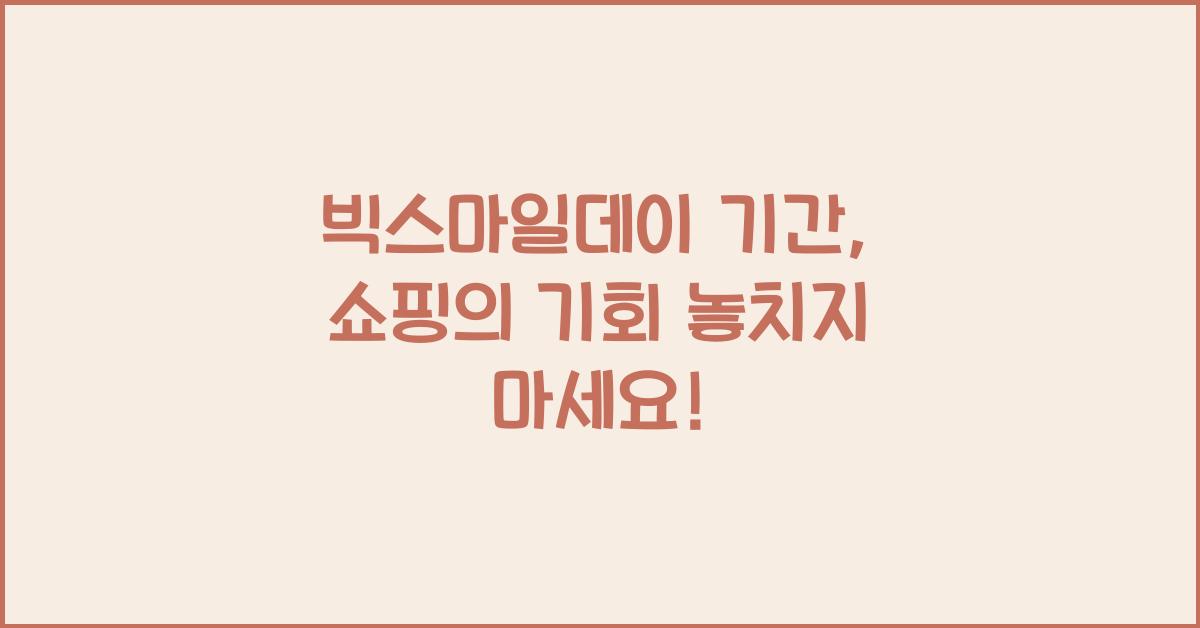 빅스마일데이 기간